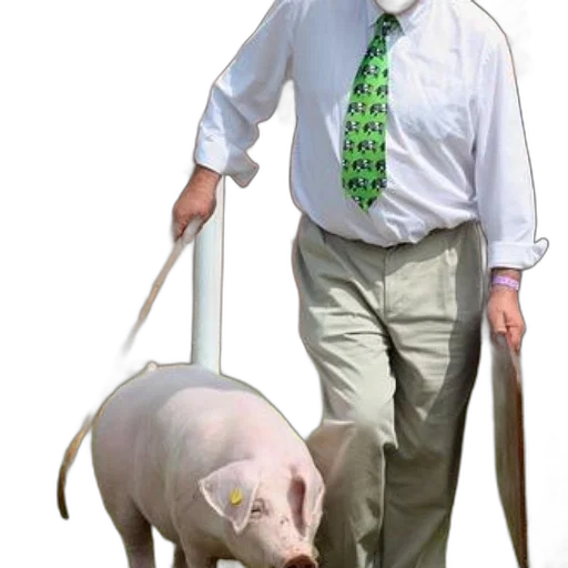 animal, creature, staff, weapon, concept art, vaporwave, man, white transparent PNG cut-out