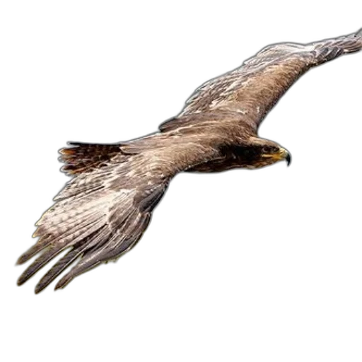 animal, creature, staff, photorealistic, concept art, 3d render, majestic, golden transparent PNG cut-out