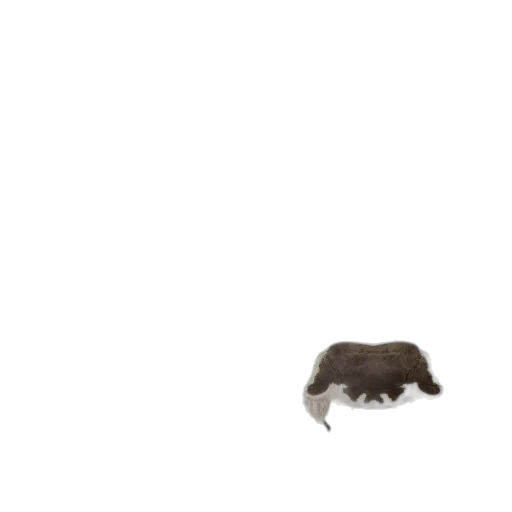 animal, creature, hair, hat transparent PNG cut-out
