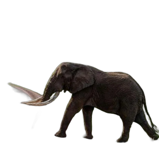 animal, creature, staff, weapon, 3d render, concept art, photorealistic, fantasy art transparent PNG cut-out