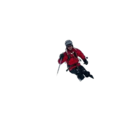 animal, creature, pixel art, concept art, 3d render, red, skier, jacket transparent PNG cut-out