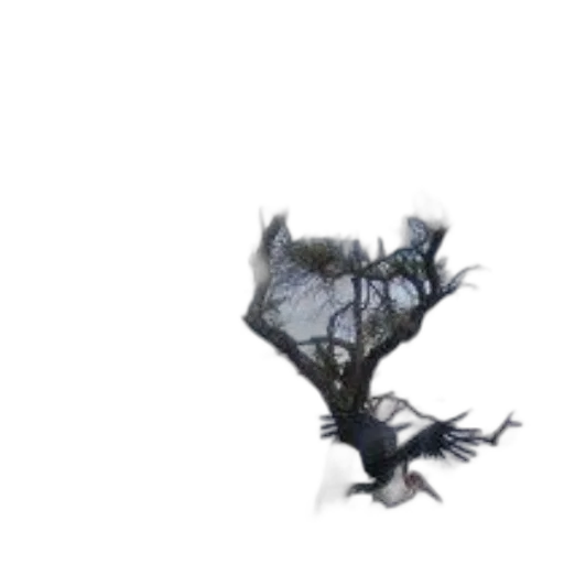 dragon, tree, creature, hair, concept art, 3d render, fantasy art, pixel art transparent PNG cut-out