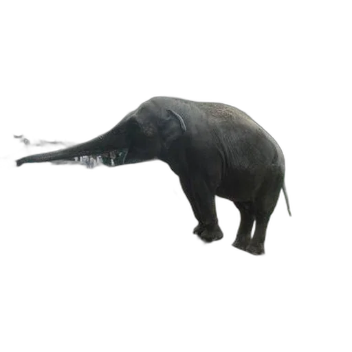 animal, creature, staff, weapon, 3d render, concept art, photorealistic, fantasy art transparent PNG cut-out