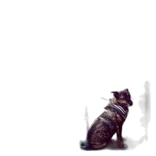 animal, creature, staff, robot transparent PNG cut-out