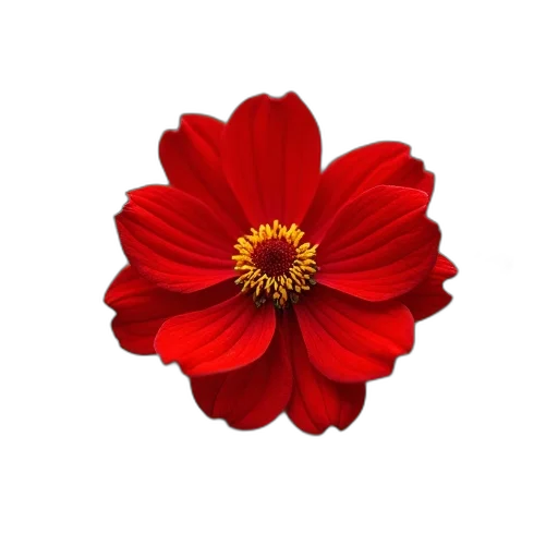 flower, crown, jewelry, staff, photorealistic, 3d render, pixel art, oil painting transparent PNG cut-out