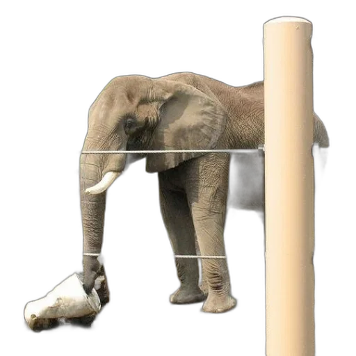 animal, staff, creature, weapon, concept art, 3d render, photorealistic, elephant transparent PNG cut-out
