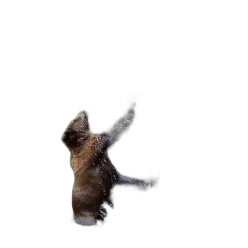 animal, creature, staff, hair, 3d render, photorealistic, pixel art, concept art transparent PNG cut-out