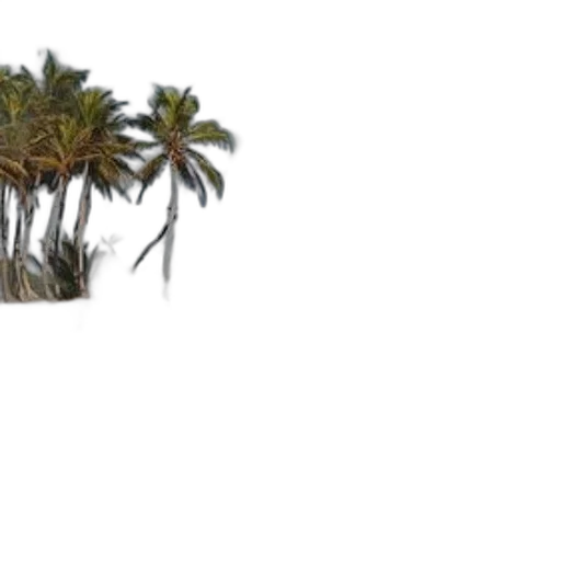 tree, umbrella, hat, hair, photorealistic, 3d render, concept art, beach transparent PNG cut-out