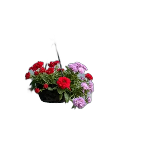flower, crown, jewelry, staff, photorealistic, 3d render, red, close-up transparent PNG cut-out