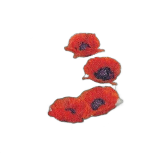 crown, food, flower, hat, watercolor, 3d render, photorealistic, concept art transparent PNG cut-out