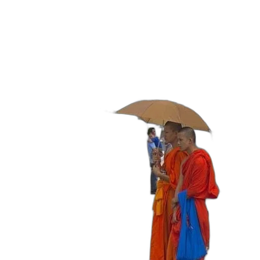 umbrella, staff, jacket, dress, concept art, 3d render, pixel art, photorealistic transparent PNG cut-out