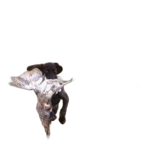 animal, dragon, jewelry, creature, 3d render, concept art, photorealistic, pixel art transparent PNG cut-out