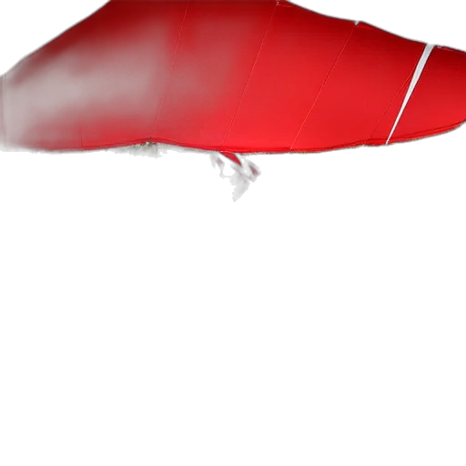 umbrella, hat, staff, dragon transparent PNG cut-out