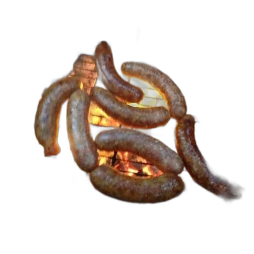 staff, food, dragon, jewelry, 3d render, concept art, photorealistic, fantasy art transparent PNG cut-out