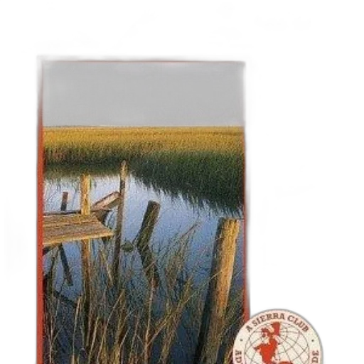 bottle, jewelry, oil painting, photorealistic, watercolor, concept art, underwater, sunset transparent PNG cut-out