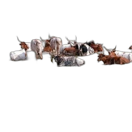 furniture, animal, weapon, staff, concept art, photorealistic, 3d render, snow transparent PNG cut-out