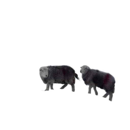 animal, creature, food, robot, 3d render, concept art, pixel art, photorealistic transparent PNG cut-out