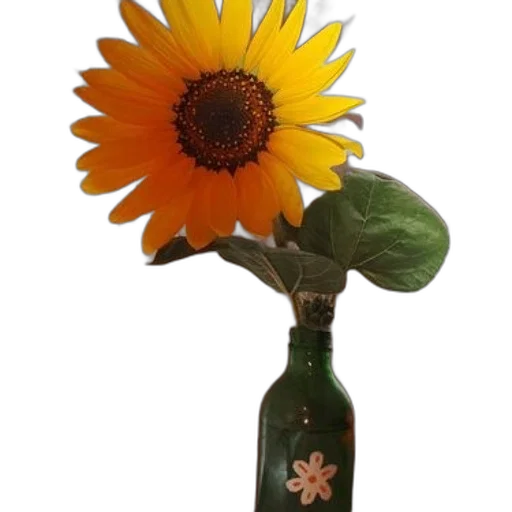 flower, bottle, staff, crown, 3d render, photorealistic, oil painting, sunflower transparent PNG cut-out