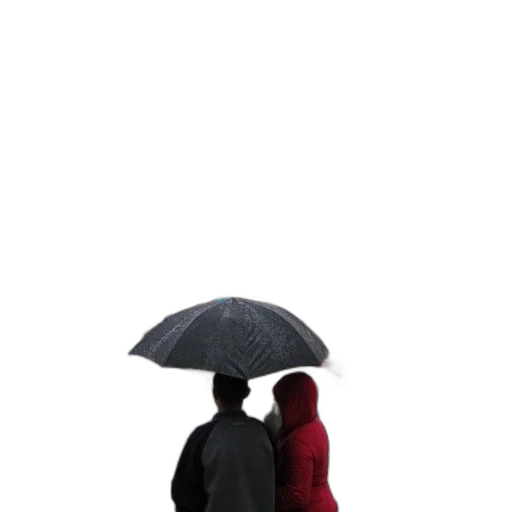 umbrella, jacket, hat, dress, photorealistic, concept art, 3d render, pixel art transparent PNG cut-out