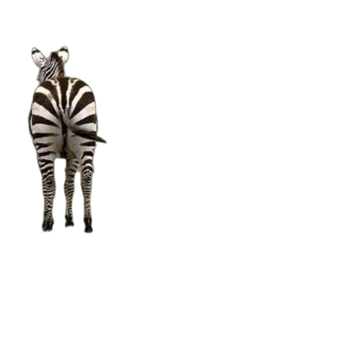 animal, creature, hat, staff, 3d render, concept art, pixel art, photorealistic transparent PNG cut-out