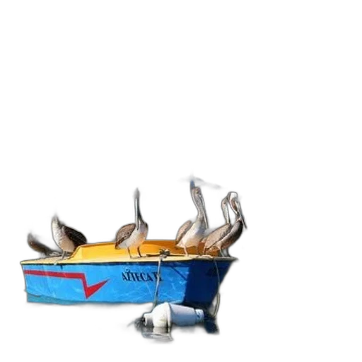 crown, shoes, animal, jewelry transparent PNG cut-out