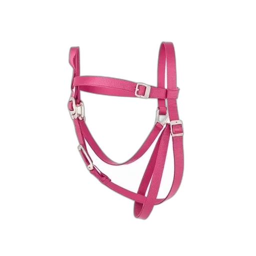 jewelry, pink, horse, halter, white, buckle, displayed, against transparent PNG cut-out