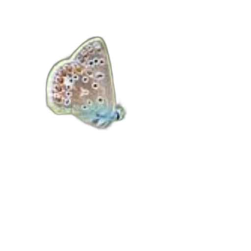 jewelry, crown, shoes, umbrella transparent PNG cut-out