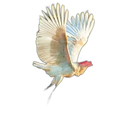 animal, creature, staff, dragon, watercolor, concept art, photorealistic, 3d render transparent PNG cut-out
