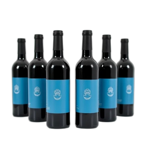bottle, set, six, identical, black, bottles, blue, labels transparent PNG cut-out