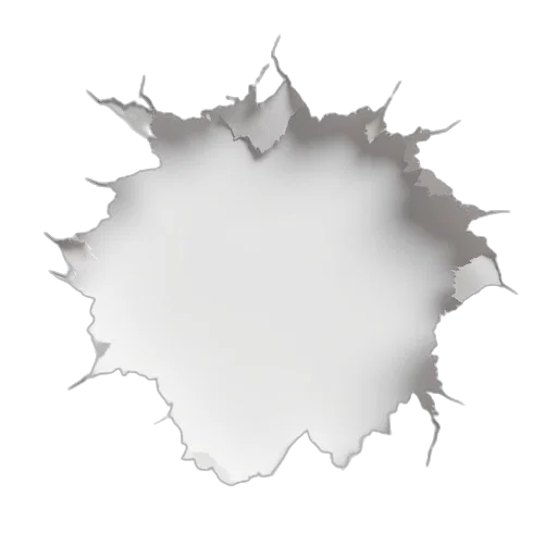 crown, jewelry, hair, flower transparent PNG cut-out