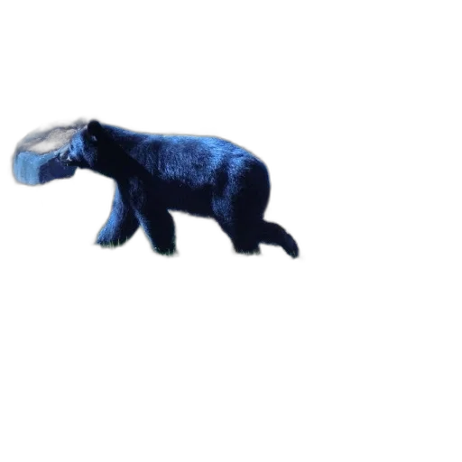 animal, creature, dragon, staff, 3d render, concept art, pixel art, photorealistic transparent PNG cut-out