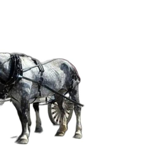 animal, car, 3d render, photorealistic, concept art, fantasy art, gray, horse transparent PNG cut-out