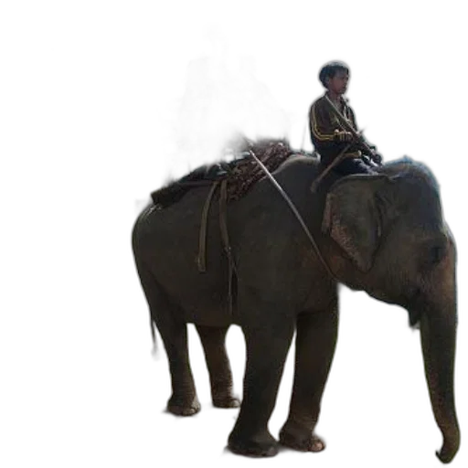 animal, creature, concept art, photorealistic, 3d render, group, people, ride transparent PNG cut-out