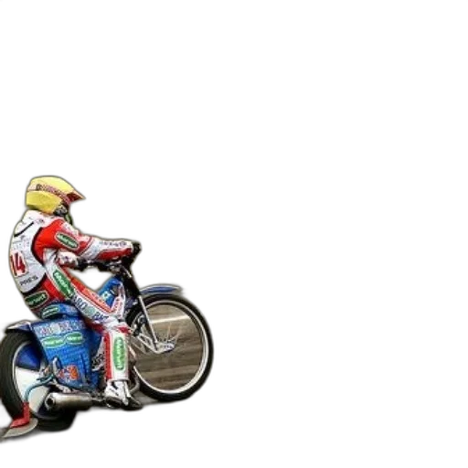 jacket, animal, concept art, pixel art, cartoon, 3d render, motorcyclist, wearing transparent PNG cut-out