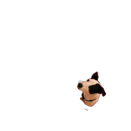 animal, creature, face, mask, pixel art, 3d render, concept art, cartoon transparent PNG cut-out