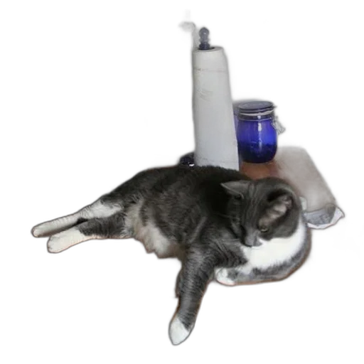 bottle, animal, staff, robot, photorealistic, 3d render, concept art, cat transparent PNG cut-out