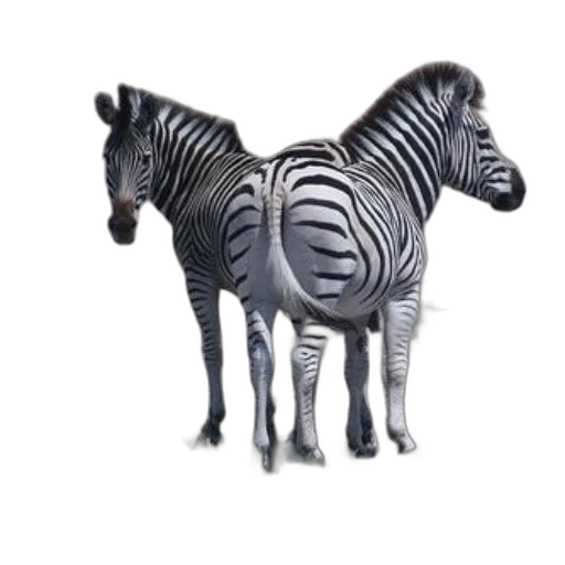animal, creature, furniture, jewelry, 3d render, concept art, photorealistic, fantasy art transparent PNG cut-out