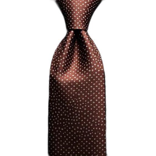 dress, staff, hat, jewelry, 3d render, brown, neck, tie transparent PNG cut-out