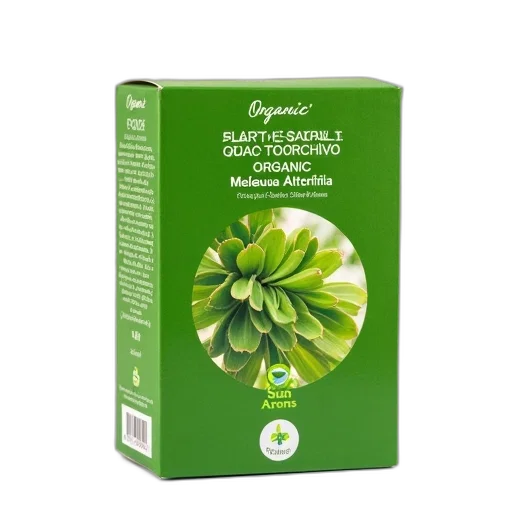 green, box, brand, name, nature, sun, aroms, displayed transparent PNG cut-out