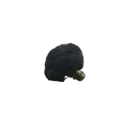 hat, hair, crown, mask, 3d render, photorealistic, dark, broccoli transparent PNG cut-out