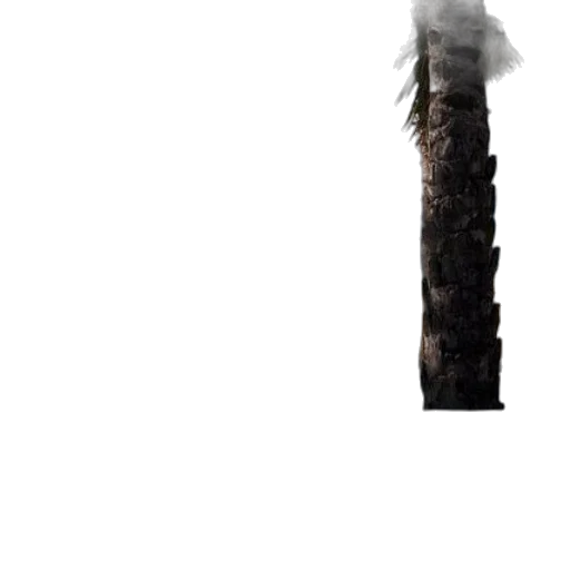 tree, hair, weapon, sword, concept art, 3d render, pixel art, photorealistic transparent PNG cut-out