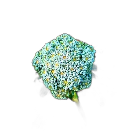 flower, jewelry, crown, food, 3d render, photorealistic, blue, green transparent PNG cut-out