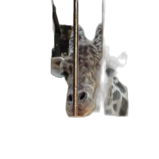 animal, staff, dragon, creature, concept art, 3d render, photorealistic, fantasy art transparent PNG cut-out