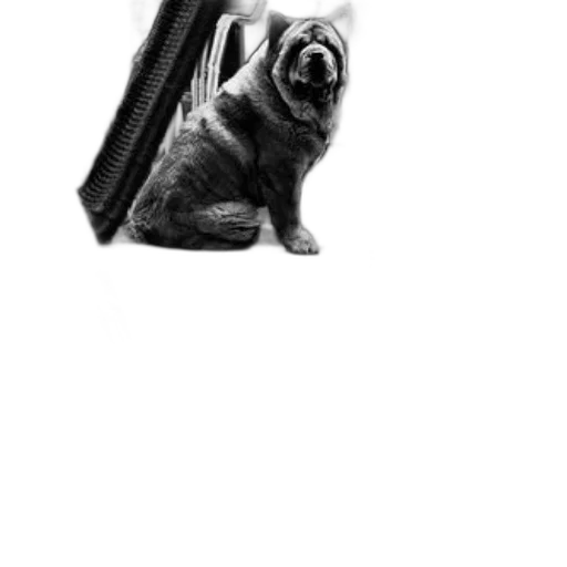 animal, creature, umbrella, staff, photorealistic, pencil sketch, concept art, comic book art transparent PNG cut-out