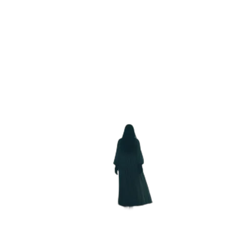 dress, umbrella, staff, jacket transparent PNG cut-out