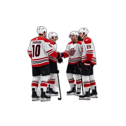 group, hockey, players, shaking, hands, each, other, ice transparent PNG cut-out