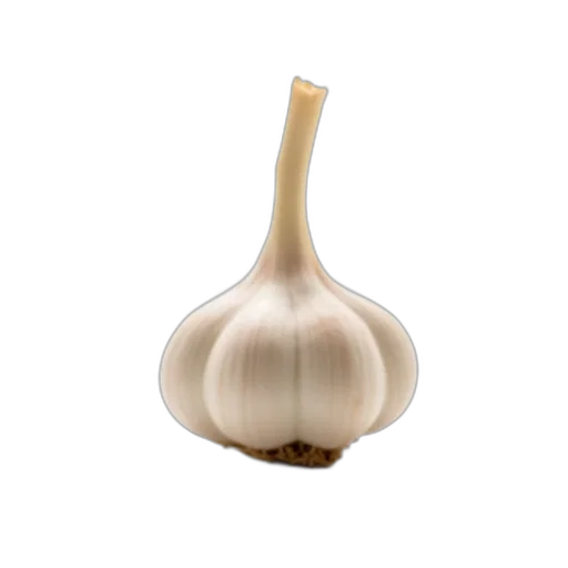 bottle, food, hair, crown, 3d render, photorealistic, garlic, bulb transparent PNG cut-out