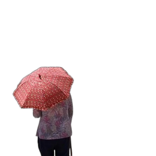 umbrella, dress, hat, jacket, 3d render, photorealistic, concept art, rain transparent PNG cut-out