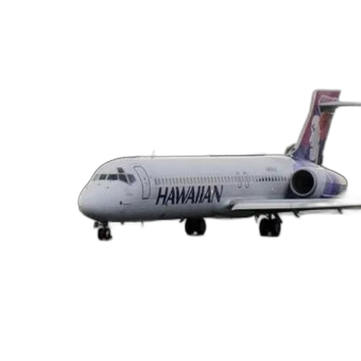 animal, 3d render, concept art, photorealistic, hawaiian, airlines, airplane, runway transparent PNG cut-out