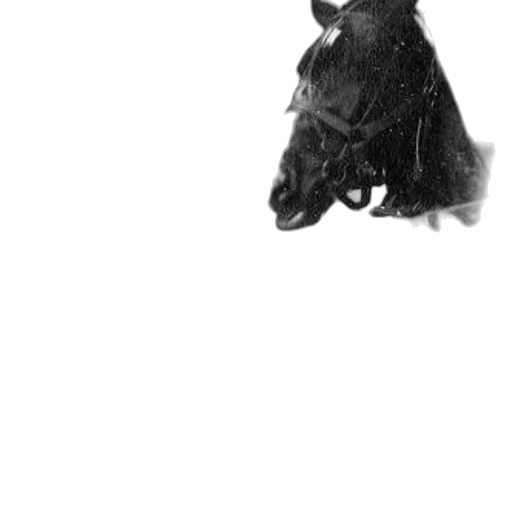 animal, dragon, creature, mask, photorealistic, concept art, pencil sketch, 3d render transparent PNG cut-out